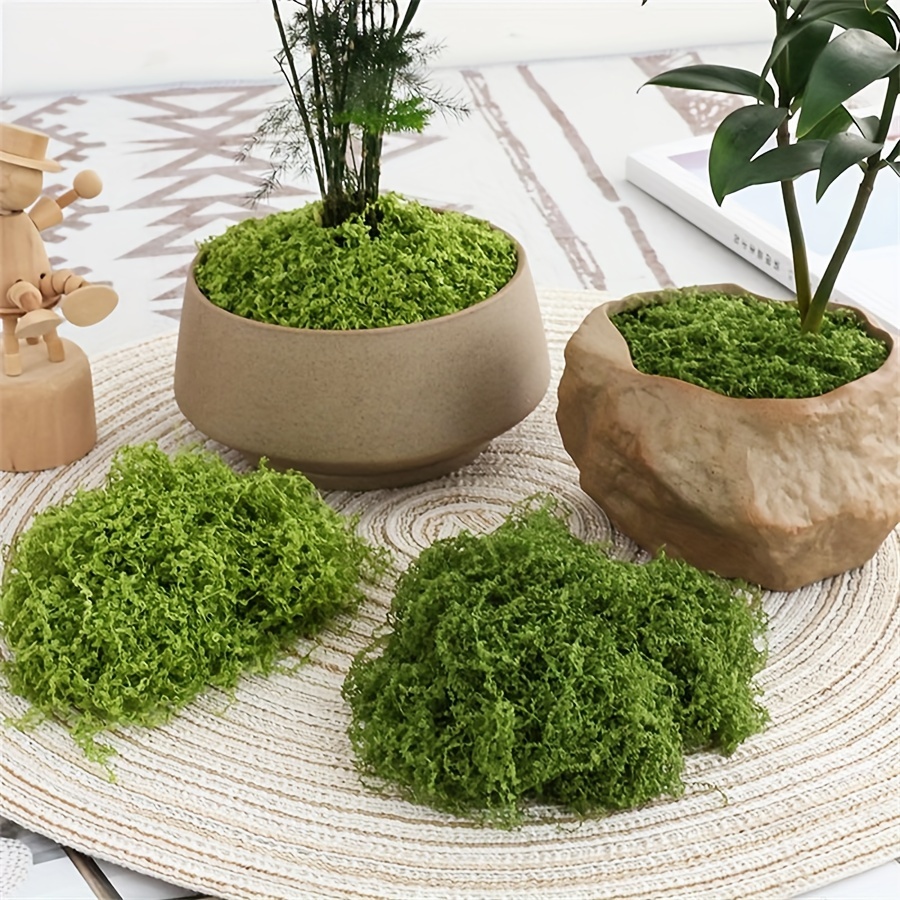 1 упаковка искусственного мха, – обзор и цена Terrarium Moss Art