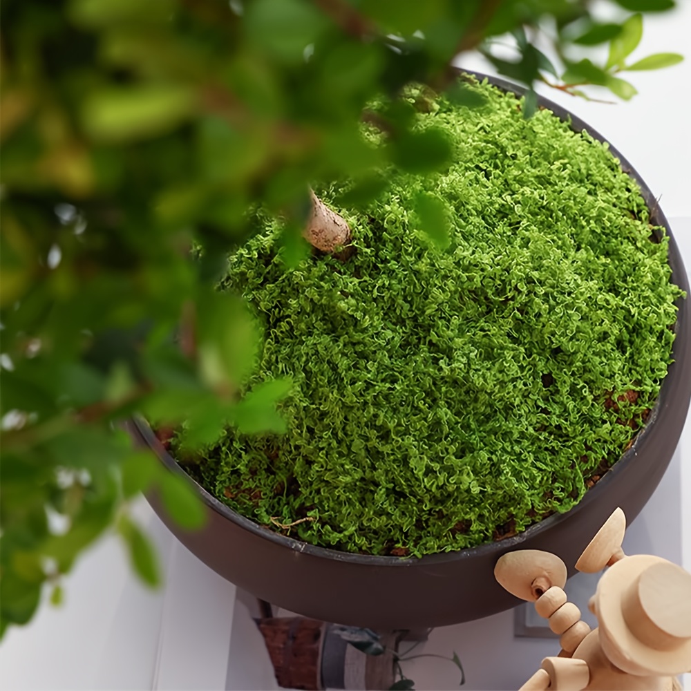 1 упаковка искусственного мха, – обзор и цена Terrarium Moss Art