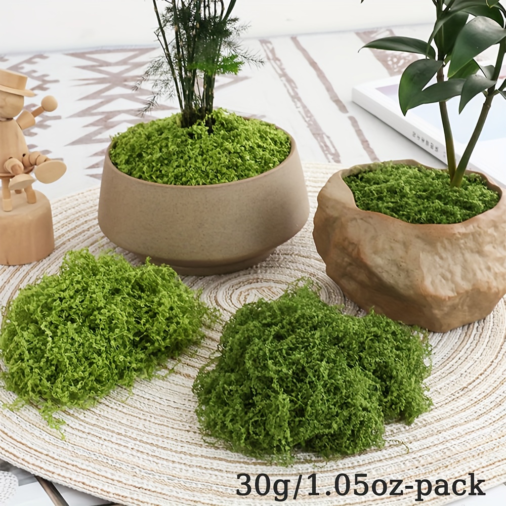 1 упаковка искусственного мха, – обзор и цена Terrarium Moss Art