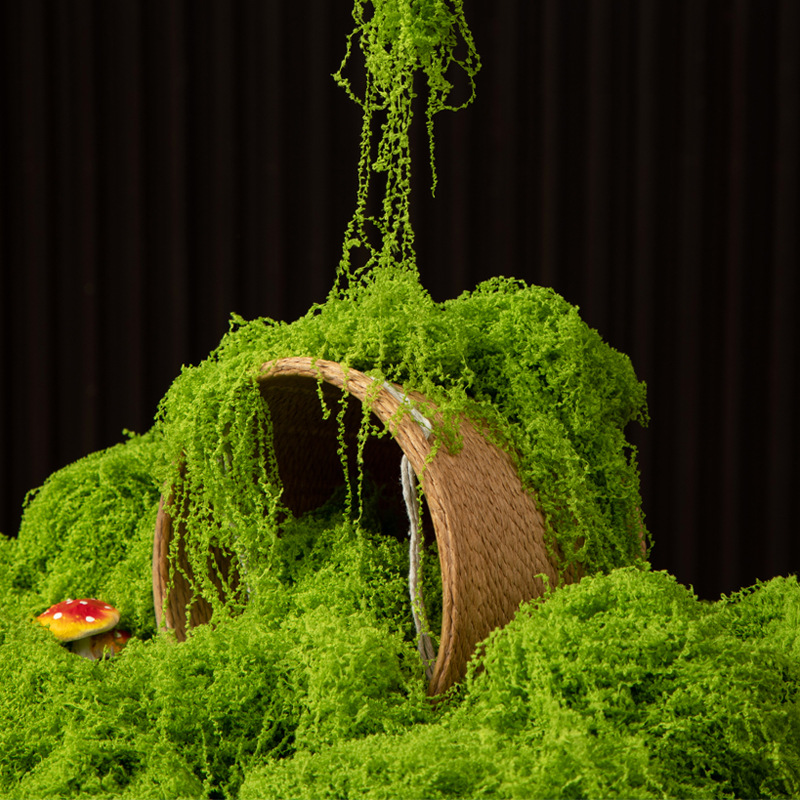 200 г. Искусственный мох «Вечн – обзор и цена Terrarium Moss Art
